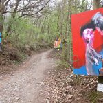 lesná výstava kalvária /forest exhibition calvary/ Záhorská Bystrica - Slovakia