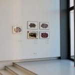 Zoya museum / Modra / more than 30...