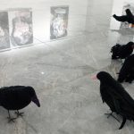 	nedbalka gallery / bratislava / ravens, busts and flowers